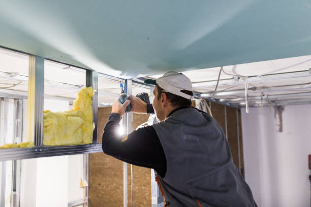Professional Insulation Contractor in Yoakum, TX