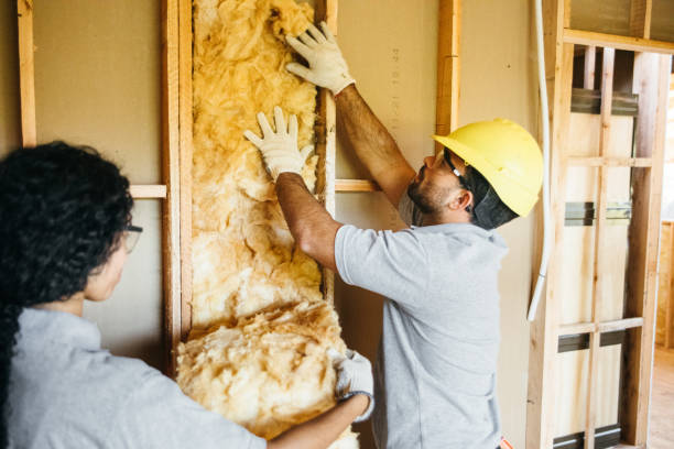 Best Wall Insulation Contractor  in Yoakum, TX