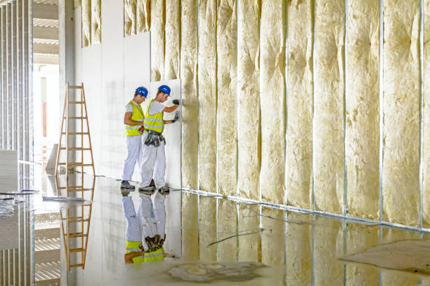 Attic Insulation Near Me in Yoakum, TX